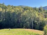 0 Barnes Hollow Rd - Photo 8