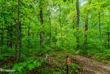 1056 Dudley Drive - Photo 47