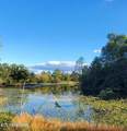 2036 Helenwood Detour Rd - Photo 28