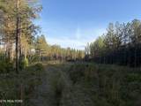 Lot 68 Black Bear Lane - Photo 10