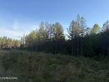 Lot 68 Black Bear Lane - Photo 11