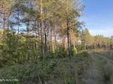 Lot 68 Black Bear Lane - Photo 12
