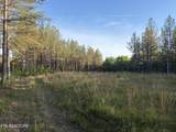 Lot 68 Black Bear Lane - Photo 13
