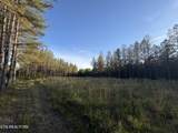 Lot 68 Black Bear Lane - Photo 14