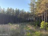 Lot 68 Black Bear Lane - Photo 15