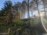 Lot 68 Black Bear Lane - Photo 18