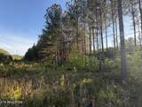 Lot 68 Black Bear Lane - Photo 19