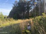 Lot 68 Black Bear Lane - Photo 2