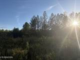 Lot 68 Black Bear Lane - Photo 20