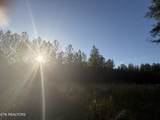Lot 68 Black Bear Lane - Photo 21