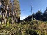 Lot 68 Black Bear Lane - Photo 4