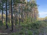 Lot 68 Black Bear Lane - Photo 5