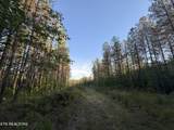 Lot 68 Black Bear Lane - Photo 6