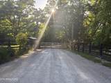 Lot 68 Black Bear Lane - Photo 7