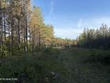 Lot 68 Black Bear Lane - Photo 8