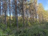 Lot 68 Black Bear Lane - Photo 9