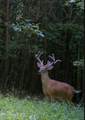 0 Kimberlin Heights Rd - Photo 4