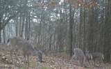 0 Kimberlin Heights Rd - Photo 6