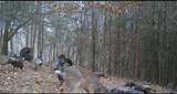0 Kimberlin Heights Rd - Photo 7