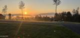 2180 County Road 750 - Photo 8