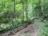 2110 Duck Pond Lane - Photo 9
