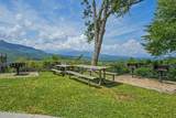 3710 Weber Rd - Photo 38