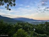 3710 Weber Rd - Photo 34