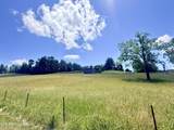  Old Highway 25E - Photo 10