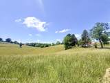  Old Highway 25E - Photo 4