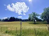  Old Highway 25E - Photo 9