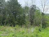  Douglas Lane - Photo 4