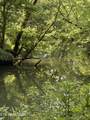  Livesay Chapel Rd - Photo 10