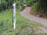 1124 Galyon Rd - Photo 2