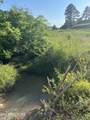  Shoal Creek Rd - Photo 43