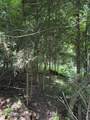 00 Walnut Bend Drive - Photo 12