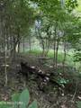00 Walnut Bend Drive - Photo 14