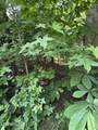 00 Walnut Bend Drive - Photo 29