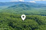 229 Sonshine Ridge Rd - Photo 16