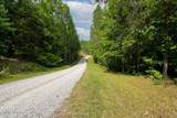  Black Fox Harbor Rd - Photo 19