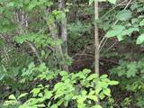 Lot 801 Russell Brothers Rd - Photo 9