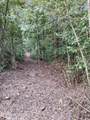 Lot 10 Holly Drive - Photo 3
