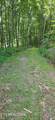 183 Persimmon Lane - Photo 3