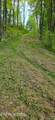 183 Persimmon Lane - Photo 5