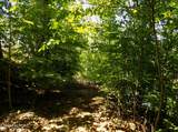 Lot 13 Shorewood Point - Photo 20