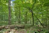  Knob Rd - Photo 18