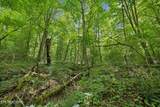  Knob Rd - Photo 23