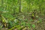  Knob Rd - Photo 24
