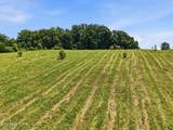  Old Tazewell Pike - Photo 13