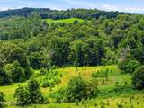  Old Tazewell Pike - Photo 18