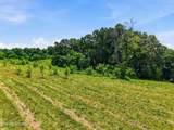  Old Tazewell Pike - Photo 19